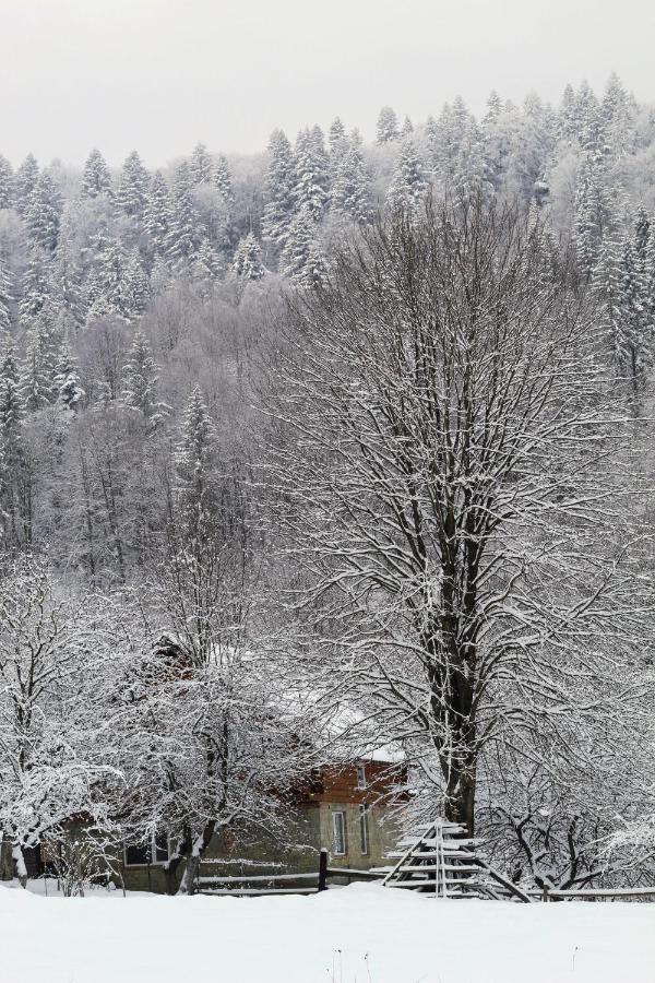 Багрівчанка Appartement Jaremtsje Buitenkant foto