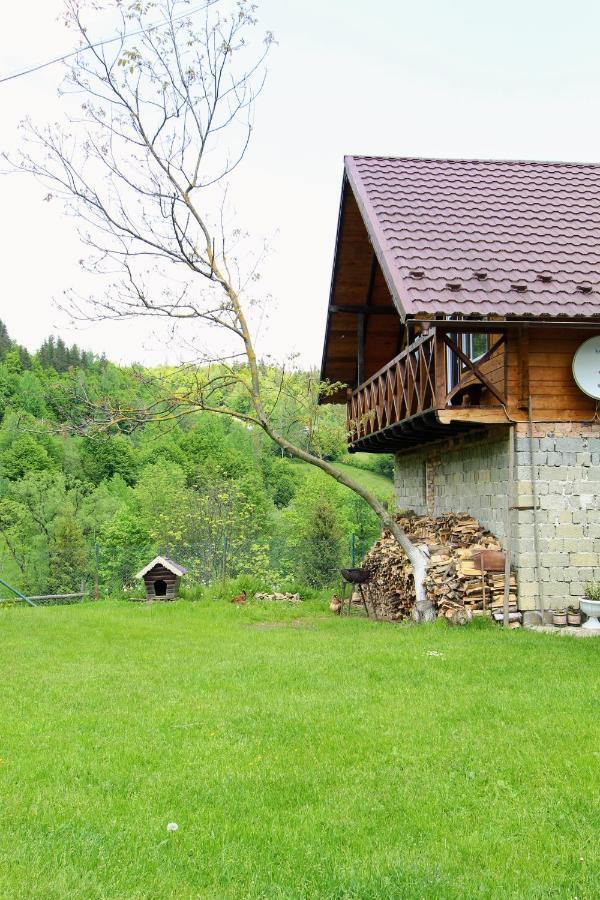 Багрівчанка Appartement Jaremtsje Buitenkant foto